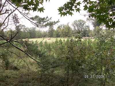 Advance Land and Timber Land for sale property_imgs/a611_14.jpg