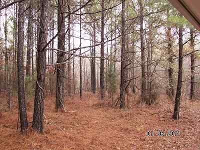 Advance Land and Timber Land for sale property_imgs/a611_15.jpg