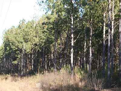 Advance Land and Timber Land for sale property_imgs/a61_7.jpg