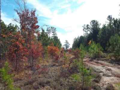 Greenwood County South Carolina Land for Sale
