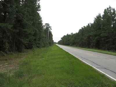 Advance Land and Timber Land for sale property_imgs/a699_1.jpg