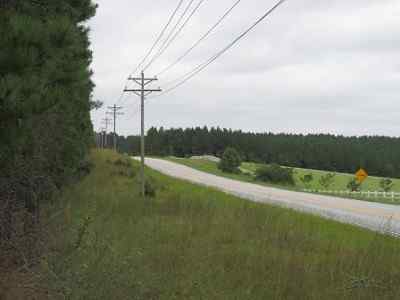Advance Land and Timber Land for sale property_imgs/a699_13.jpg