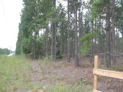 Advance Land and Timber Land for sale property_imgs/a699_14.jpg