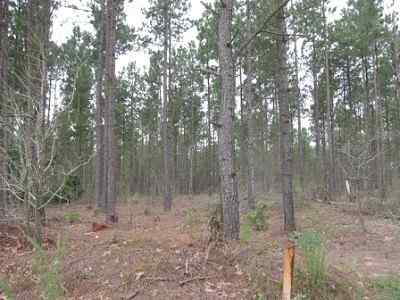 Advance Land and Timber Land for sale property_imgs/a699_15.jpg