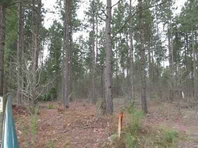 Advance Land and Timber Land for sale property_imgs/a699_1~0.jpg