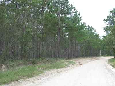 Advance Land and Timber Land for sale property_imgs/a699_27.jpg