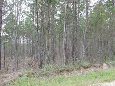 Advance Land and Timber Land for sale property_imgs/a699_28.jpg