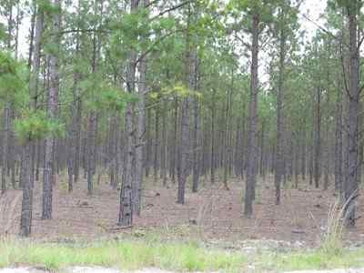 Advance Land and Timber Land for sale property_imgs/a699_32.jpg