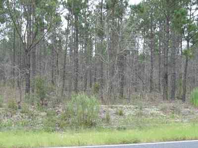 Advance Land and Timber Land for sale property_imgs/a699_35.jpg