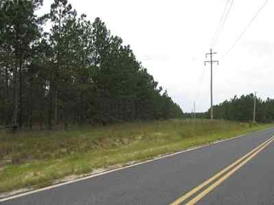 Advance Land and Timber Land for sale property_imgs/a699_39.jpg