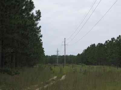 Advance Land and Timber Land for sale property_imgs/a699_43.jpg