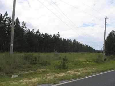 Advance Land and Timber Land for sale property_imgs/a699_44.jpg
