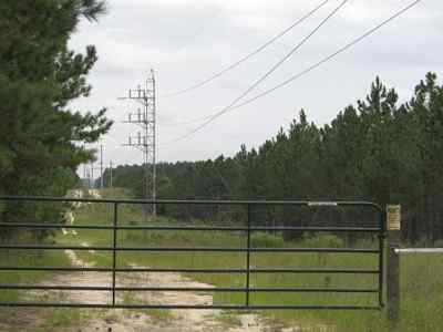 Advance Land and Timber Land for sale property_imgs/a699_46.jpg