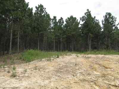 Advance Land and Timber Land for sale property_imgs/a699_51.jpg