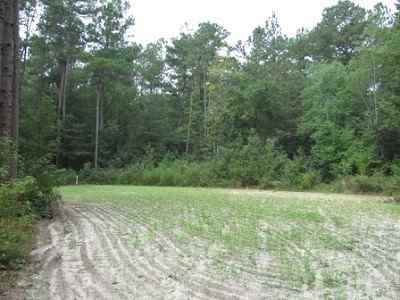 Advance Land and Timber Land for sale property_imgs/a699_55.jpg