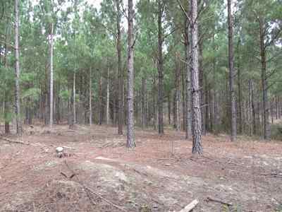 Advance Land and Timber Land for sale property_imgs/a699_5~0.jpg
