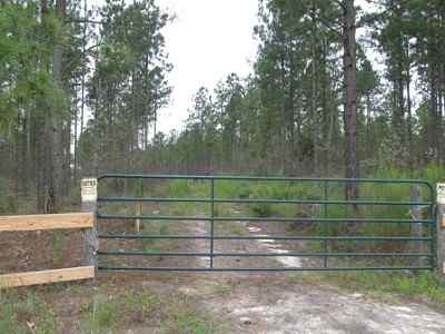 Advance Land and Timber Land for sale property_imgs/a699_8.jpg
