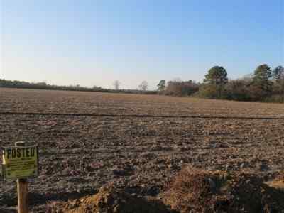Advance Land and Timber Land for sale property_imgs/a713_9.jpg