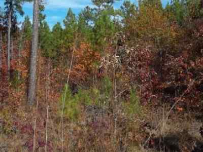 Greenwood County South Carolina Land for Sale