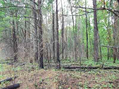 Newberry County South Carolina Land for Sale