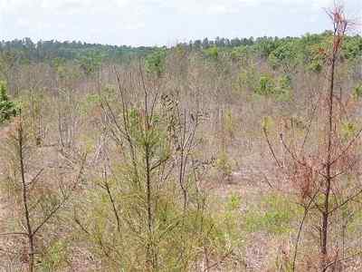 Edgefield County South Carolina Land for Sale