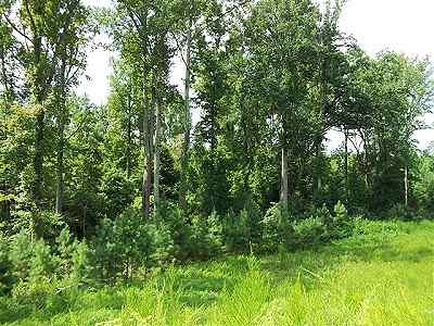 Newberry County South Carolina Land for Sale