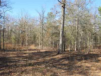 Advance Land and Timber Land for sale property_imgs/a79_11.jpg