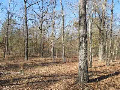Advance Land and Timber Land for sale property_imgs/a79_13.jpg