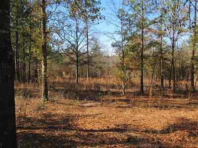 Advance Land and Timber Land for sale property_imgs/a79_9.jpg