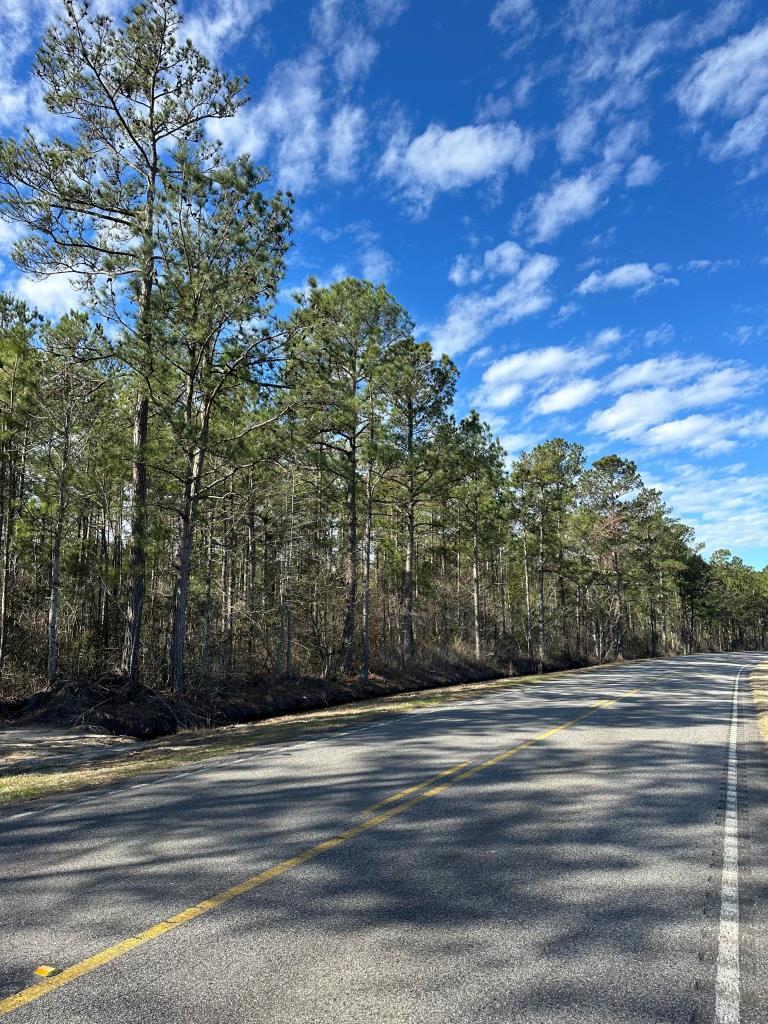 10 +/ acres for sale in Horry County SC