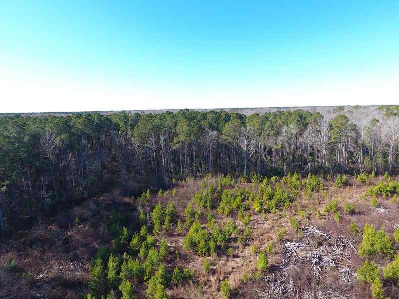 Advance Land and Timber Land for sale property_imgs/a957aa96221d0b7cb99ab072eaed7bf9_1891.jpg