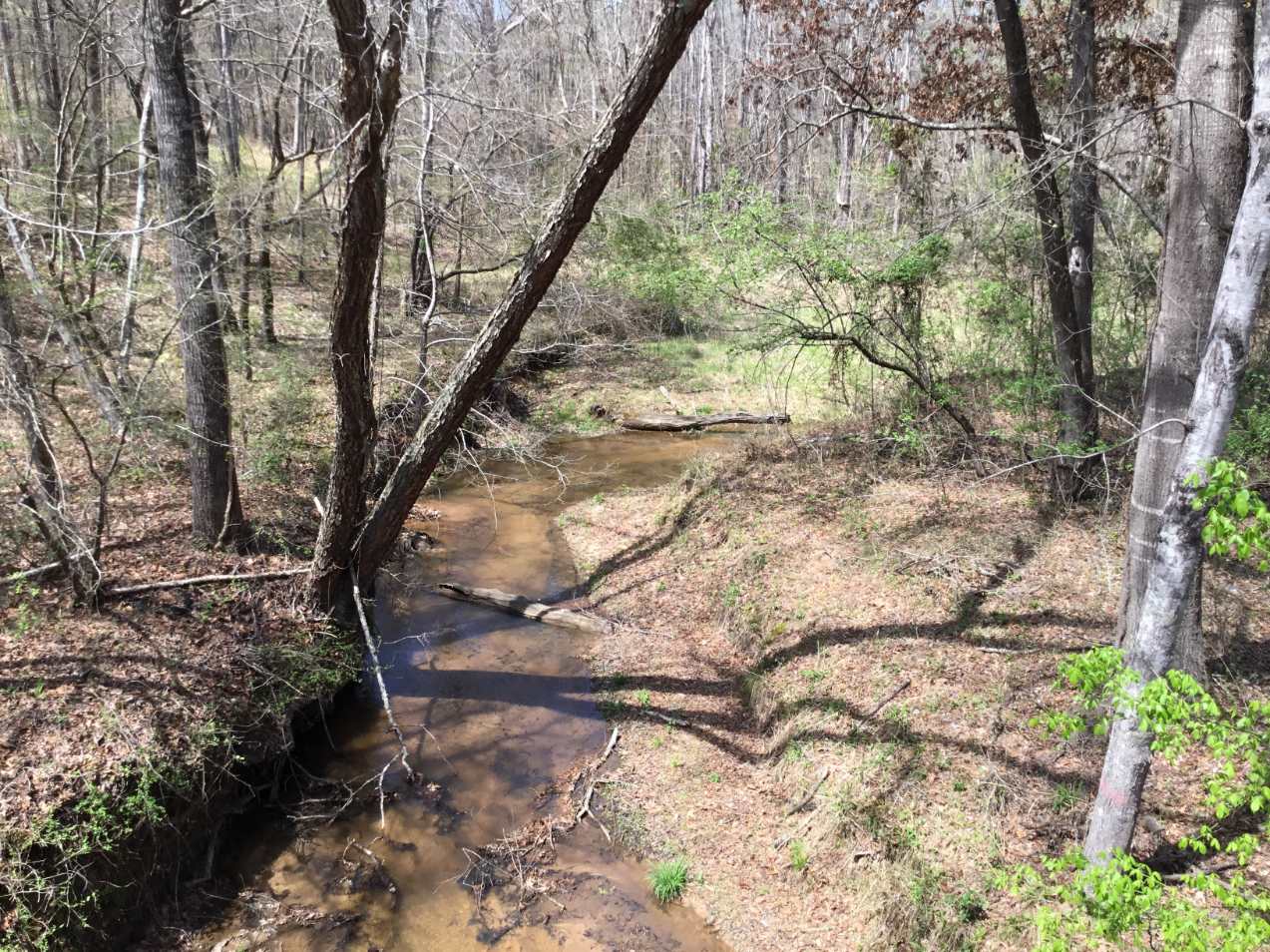 Advance Land and Timber Land for sale property_imgs/ab_img_49.jpg