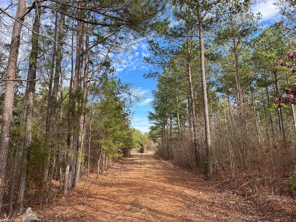 Advance Land and Timber Land for sale property_imgs/abdeb6f575ac5c6676b747bca8d09cc2.jpg