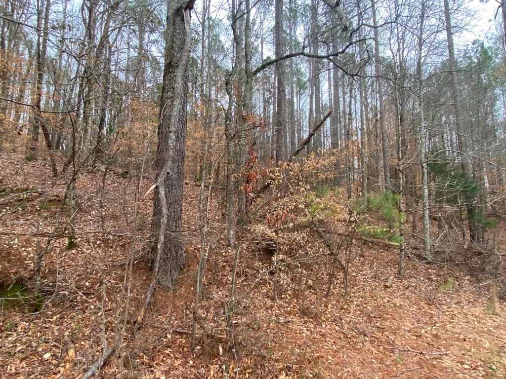 Marion County Alabama Land for Sale