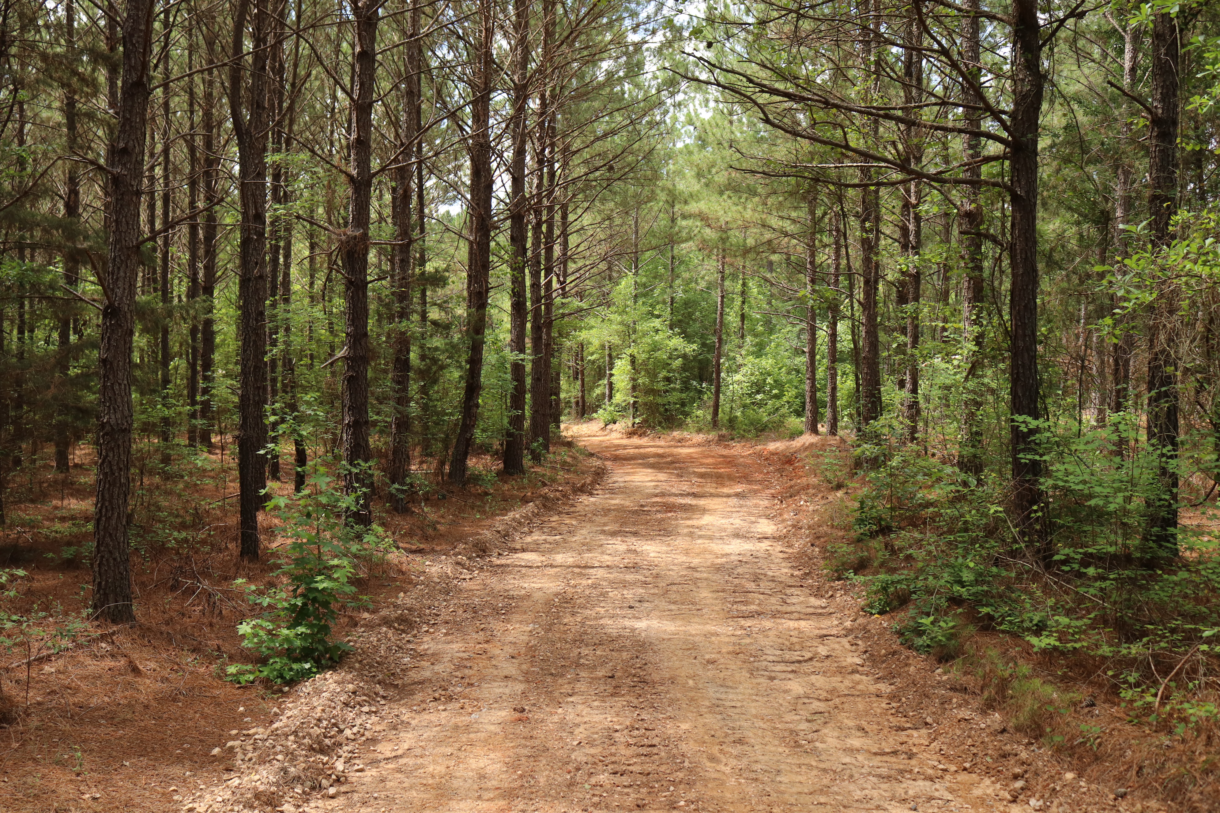 Saluda County South Carolina Land for Sale
