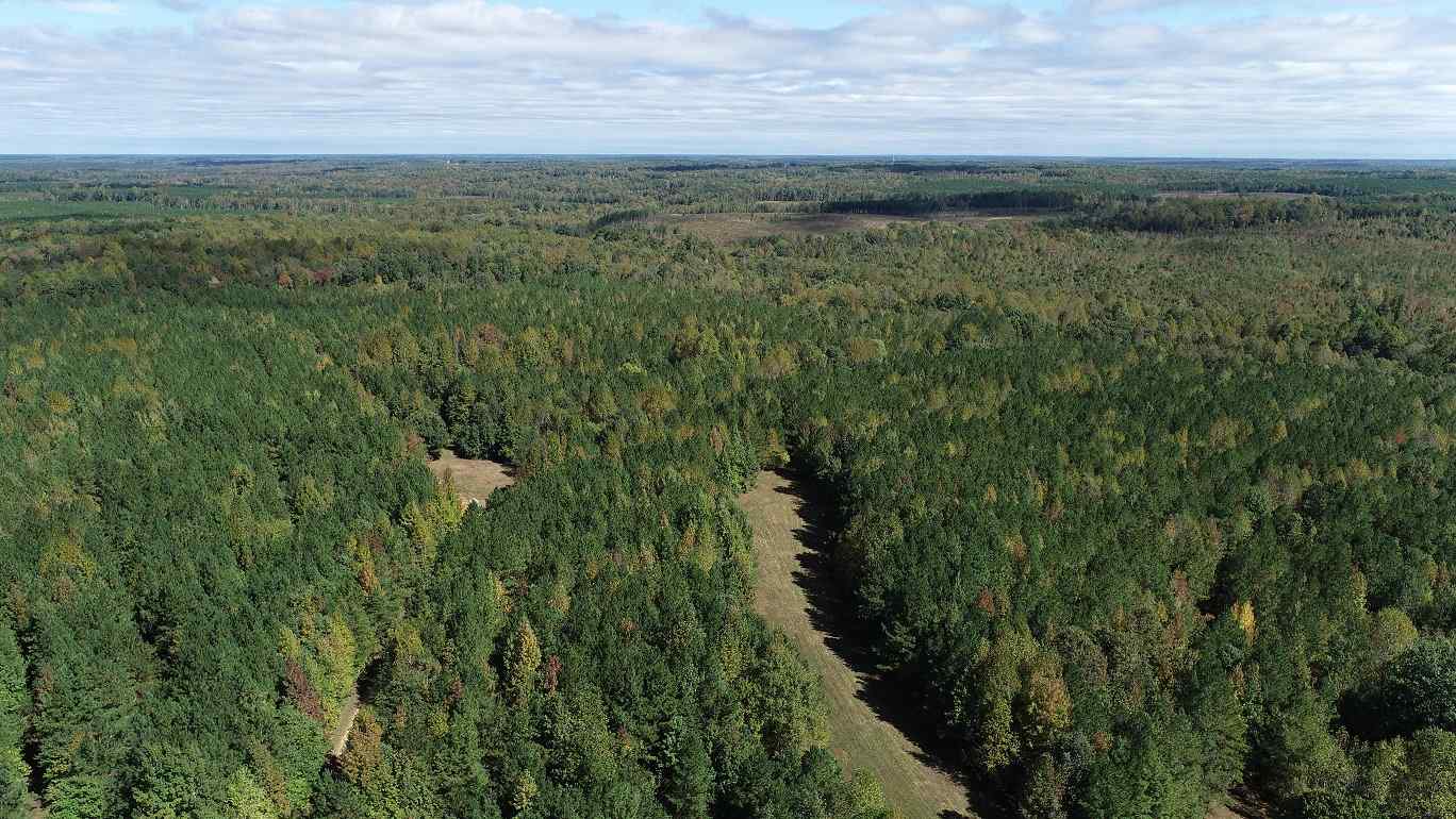 Advance Land and Timber Land for sale property_imgs/af922fd52975aee0083fb8e0ba9c1d64.jpg