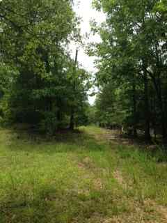Advance Land and Timber Land for sale property_imgs/aphoto5.jpg