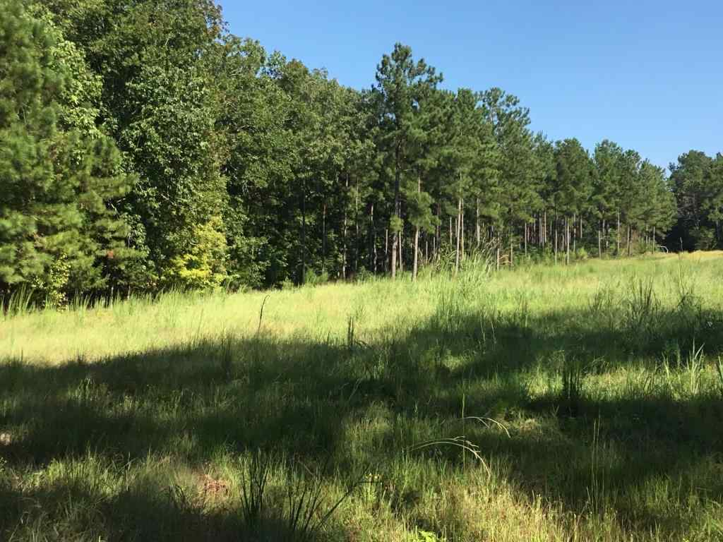 Advance Land and Timber Land for sale experts in Newberry SC