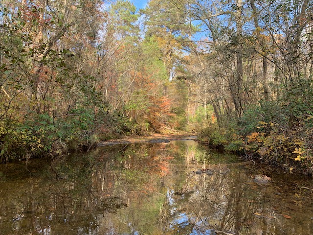 Advance Land and Timber Land for sale property_imgs/b129-scyorkcounty11~0.jpeg