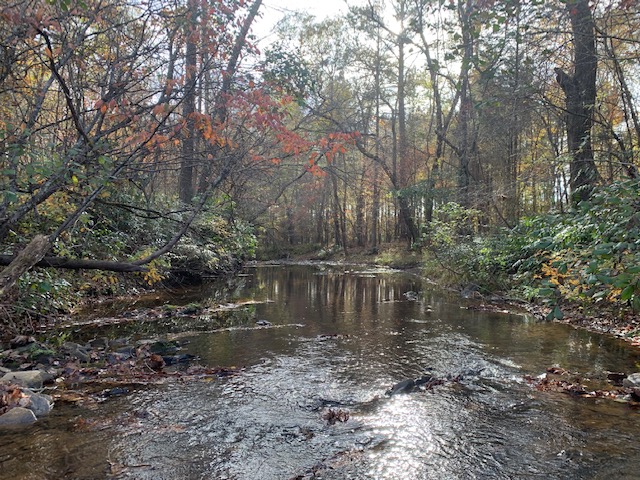 Advance Land and Timber Land for sale property_imgs/b129-scyorkcounty12~0.jpeg