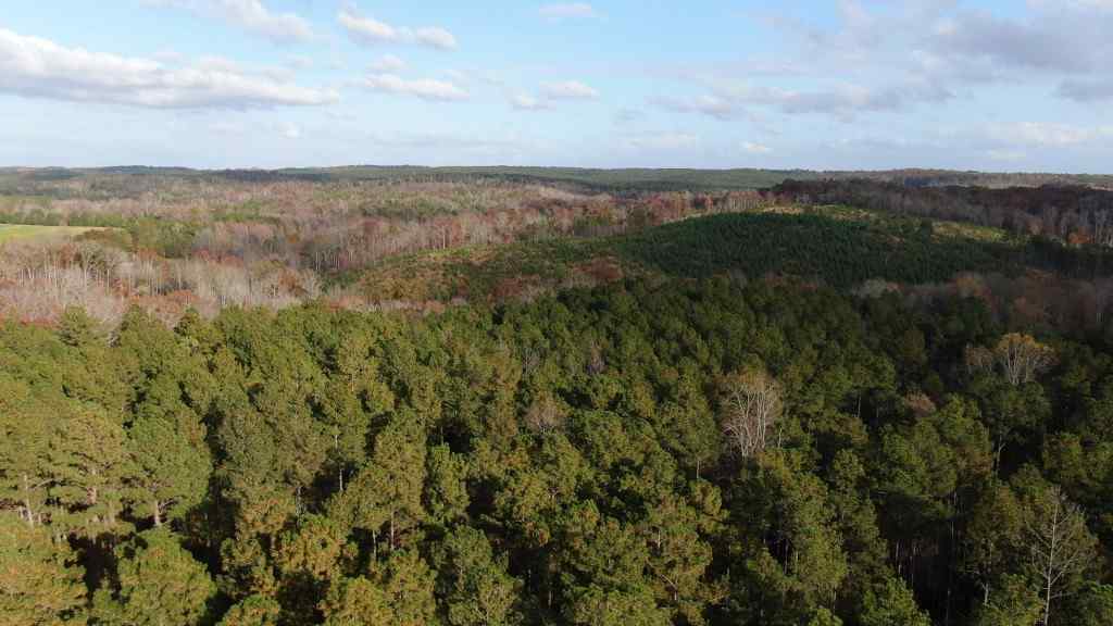 Advance Land and Timber Land for sale property_imgs/b129-scyorkcounty14~0.jpg