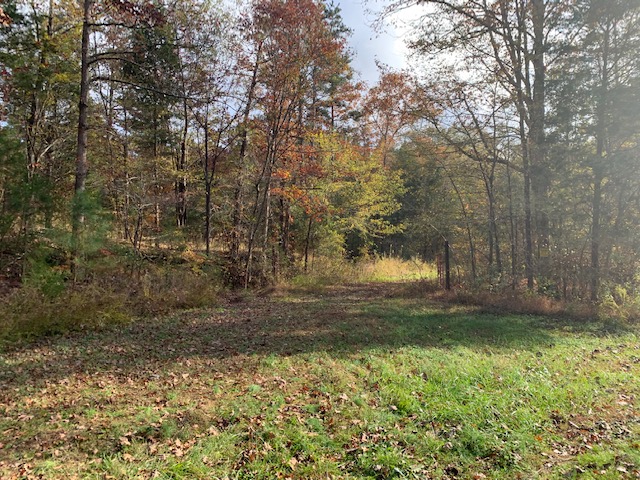 Advance Land and Timber Land for sale property_imgs/b129-scyorkcounty1~1.jpeg