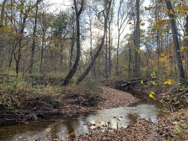 Advance Land and Timber Land for sale property_imgs/b129-scyorkcounty3~0.jpeg