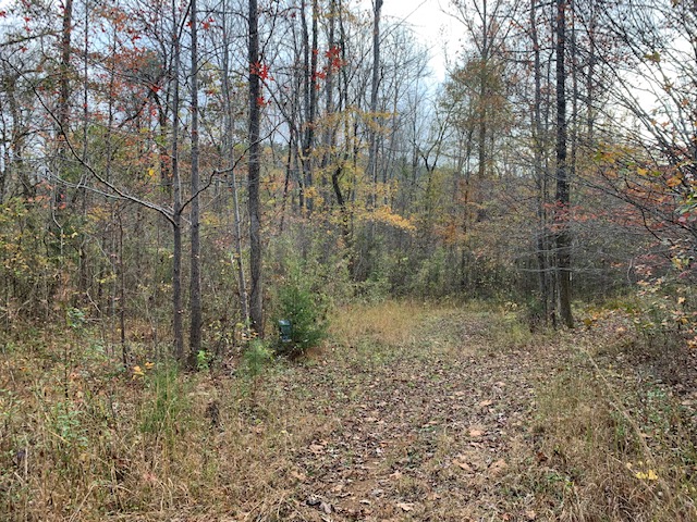 Advance Land and Timber Land for sale property_imgs/b129-scyorkcounty6~0.jpeg