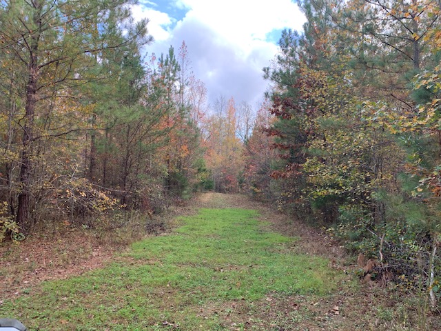Advance Land and Timber Land for sale property_imgs/b129-scyorkcounty7~0.jpeg