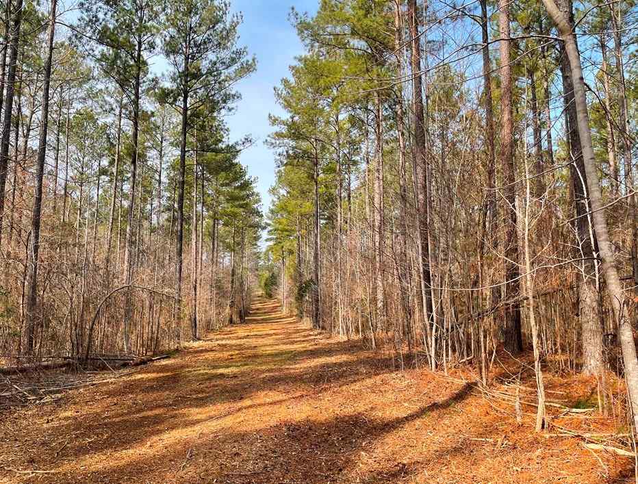 Advance Land and Timber Land for sale property_imgs/b129-scyorkcounty9~0.jpg