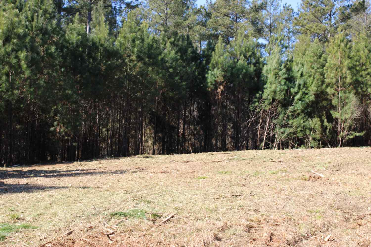 Advance Land and Timber Land for sale property_imgs/b129b-43.jpg