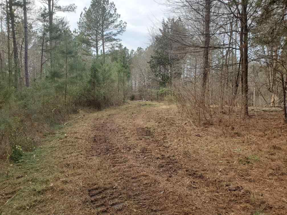 Advance Land and Timber Land for sale property_imgs/b129c-65acres3.jpg