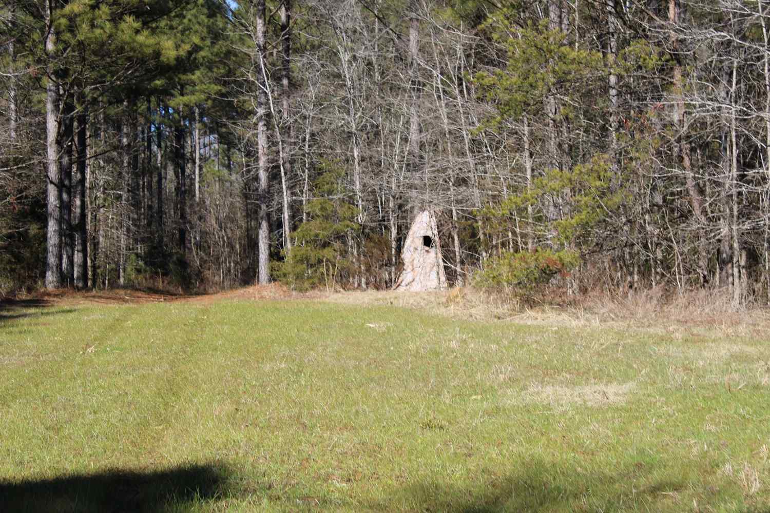 Advance Land and Timber Land for sale property_imgs/b129c-65acres4.jpg