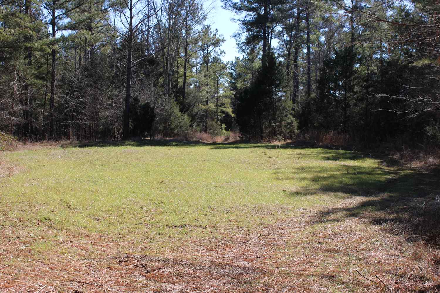 Advance Land and Timber Land for sale property_imgs/b129c-65acres5.jpg